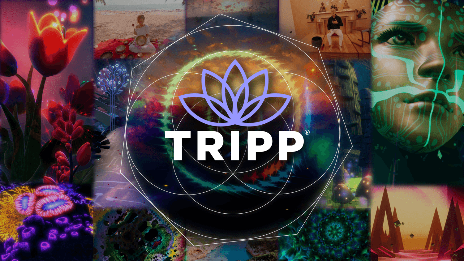 TRIPP Secures $11M to Expand Digital Psychedelic Wellness Platform for Mental Health